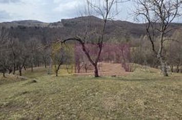 Teren intravilan 2200 mp de vanzare in Valea Doftanei anunturi imobiliare Prahova