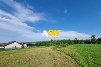 De vanzare 1974mp teren intravilan, cu utilitati, Oarda de Sus anunturi imobiliare Alba