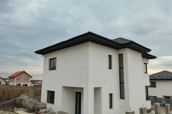 Vilă - 4 camere de vanzare REDIU - Iasi anunturi imobiliare Iasi