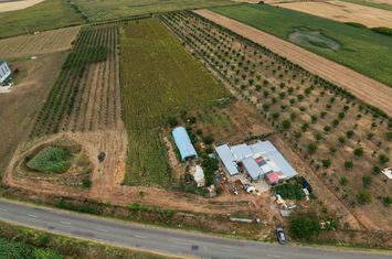 Livadă de 3,6 hectare în Iratoșu – Oportunitate anunturi imobiliare Arad