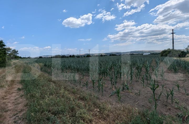 Teren de vanzare ALBA IULIA - Alba anunturi imobiliare Alba