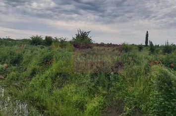 Teren Corbeanca- Drumul Garii Odai. anunturi imobiliare Bucuresti