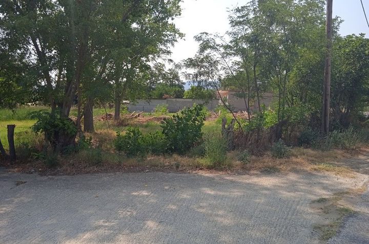 Teren construibil 2129 mp în Ampeloi, Serres anunturi imobiliare Grecia