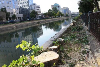 Spatiul verde din Bucuresti s-a dublat. Pe hartie