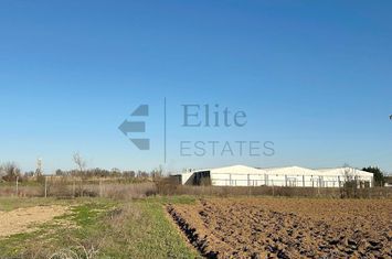 Teren industrial Santandrei anunturi imobiliare Bihor