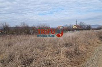 Teren Intravilan de vanzare CENTRAL - Alba anunturi imobiliare Alba