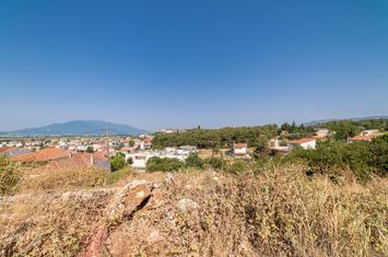 Teren construibil 788 mp, Amigdaleonas (Kavala) anunturi imobiliare Grecia