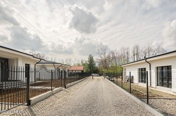 Casă - 5 camere de vanzare SNAGOV - Bucuresti anunturi imobiliare Bucuresti