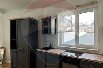 Vilă exclusivistă de închiriat în Andrei Mureșanu anunturi imobiliare Cluj