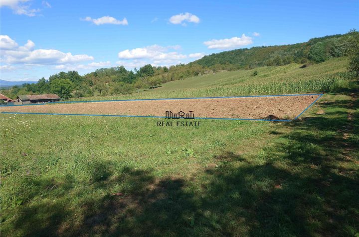 Teren Intravilan de vanzare BAIA DE CRIS - Hunedoara anunturi imobiliare Hunedoara