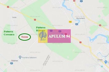 Săbăreni, teren intravilan construibill, la 300 m de pădure anunturi imobiliare Giurgiu