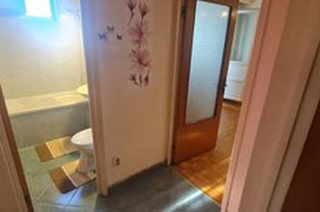 Apartament 3 camere  Titan - Barajul Sadului , etaj 1/4 anunturi imobiliare Bucuresti