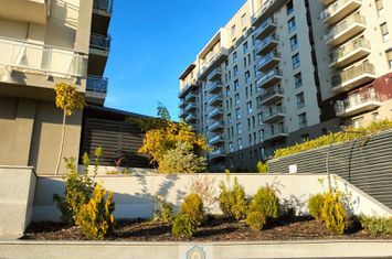 Inchiriez apartament 3 camere zona Barbu Vacarescu- Pipera, Belvedere Residence, Soseaua Fabrica de Glucoza 6-8, bloc 2022,la 8 minute metrou Pipera, loc parcare subteran inclus. anunturi imobiliare Bucuresti