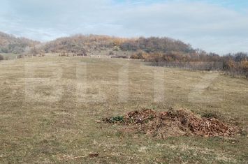 Teren de vanzare ANINOASA - Dambovita anunturi imobiliare Dambovita