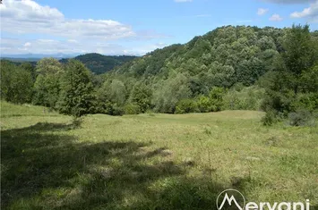 Teren Intravilan de vanzare TELEGA - Prahova anunturi imobiliare Prahova