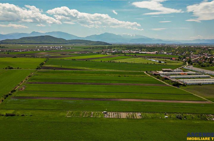 Teren Extravilan de vanzare BOD - Brasov anunturi imobiliare Brasov