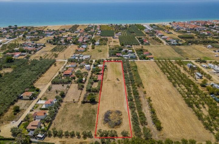 Teren 4608 mp, Paralia Ofriniou, 500 m de mare anunturi imobiliare Grecia
