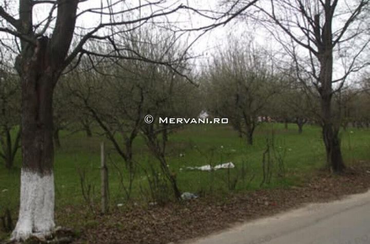 Teren de vânzare în Câmpina anunturi imobiliare Prahova