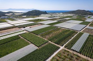 Teren 3.450 mp în Elaiochori, la marginea satului anunturi imobiliare Grecia