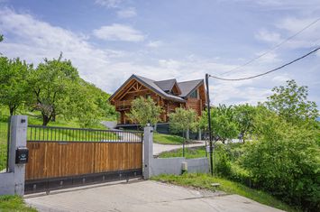 Vilă - 6 camere de vanzare SADU - Sibiu anunturi imobiliare Sibiu