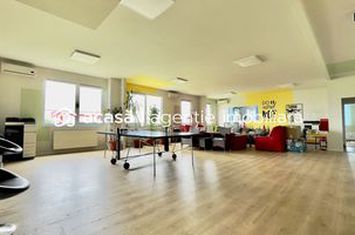 Clădire de birouri cu 12 parcări în incintă privată, UTA2, Arad anunturi imobiliare Arad