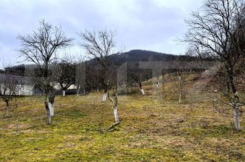 Teren de vanzare STREMT - Alba anunturi imobiliare Alba