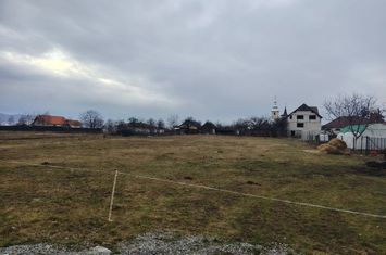 Teren de vanzare SUPLACU DE BARCAU - Bihor anunturi imobiliare Bihor