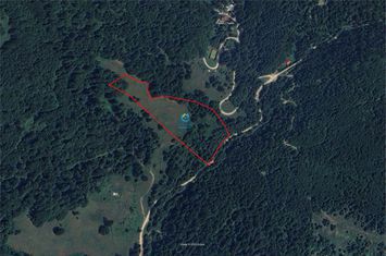 Teren Extravilan de vanzare SIRIU - Buzau anunturi imobiliare Buzau