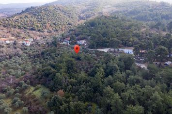 Teren construibil 4.028,13 mp în Rachoni, Thassos anunturi imobiliare Grecia