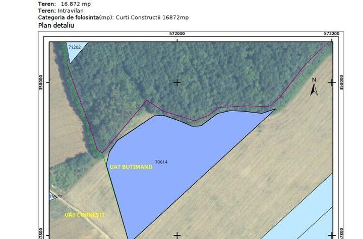 TEREN 16.872 mp - tarla T20, Barbuceanu, DB anunturi imobiliare Dambovita