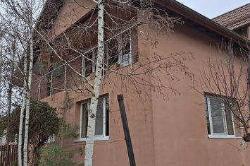 Vila P+1  Ploiesti - Paulestii Noi anunturi imobiliare Prahova