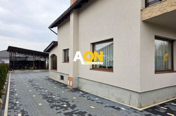 Casă 6 camere, S+P+M, mobilată, utilată, 605 mp teren, Micesti anunturi imobiliare Alba