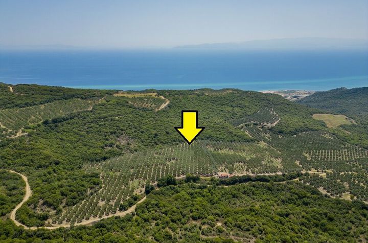 Teren 16.000 mp, Kariani (Kavala) anunturi imobiliare Grecia