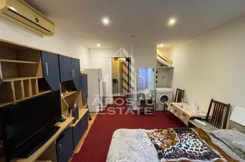 Garsoniera , pet friendly , Blascovici anunturi imobiliare Timis