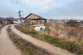 Teren de vanzare BOTOSANI - Botosani anunturi imobiliare Botosani