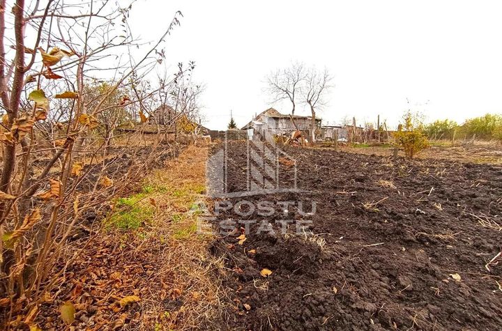 Teren 1000mp Cu Utilitati Dudesti Noi anunturi imobiliare Timis