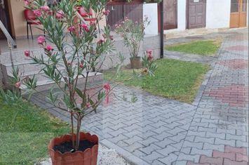 Casă - 10 camere de vanzare LIPOVA - Arad anunturi imobiliare Arad