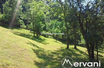 Teren Intravilan de vanzare COMARNIC - Prahova anunturi imobiliare Prahova