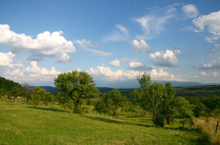 Teren de vanzare DAIA - Sibiu anunturi imobiliare Sibiu