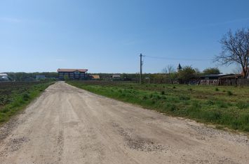 Loturi de casa de 583mp, deschidere 30m, Ciofliceni - Snagov! anunturi imobiliare Bucuresti
