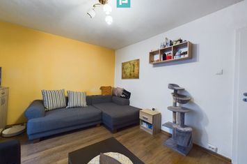 Apartament cu 1 cameră, în zona Aradului-Iulius Mall anunturi imobiliare Timis