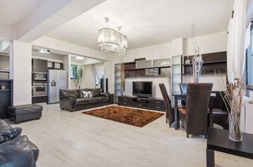 PENTHOUSE ULTRACENTRAL CU PRIVELISTE PANORAMICĂ anunturi imobiliare Iasi