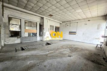 Hală de Închiriat, 100mp, Pretabil P/U Service Auto, Zona Bărăbanț anunturi imobiliare Alba