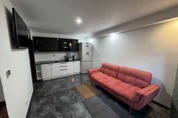 Inchiriere casa P+1 pet friendly curte comuna Cotroceni Medicina anunturi imobiliare Bucuresti