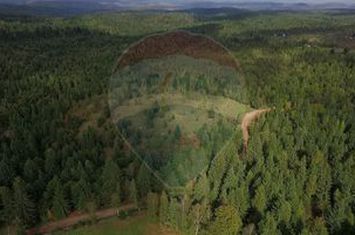 Teren extravilan parcelabil Călățele Pădure, zona Dealu Negru anunturi imobiliare Cluj