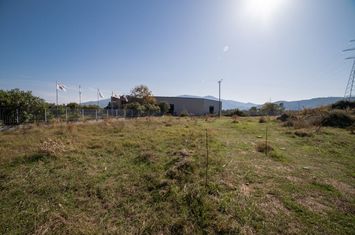 Teren agricol 3000 mp în Nea Vrasna anunturi imobiliare Grecia