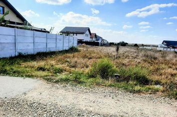 Teren Intravilan de vanzare COMUNA BERCENI - Bucuresti anunturi imobiliare Bucuresti