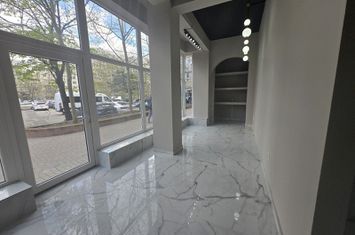 Spatiu comercial 101mp Dristor McDonald's Metrou Stradal Camil Ressu anunturi imobiliare Bucuresti