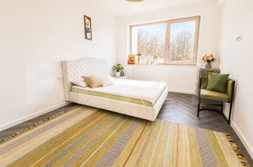 Vilă - 5 camere de vanzare CETATE - Alba anunturi imobiliare Alba