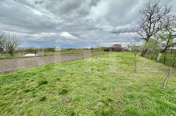 Casă - 3 camere de vanzare TOTOI - Alba anunturi imobiliare Alba
